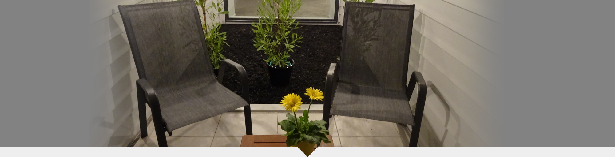 Hamilton Motel Near Waikato Hospital